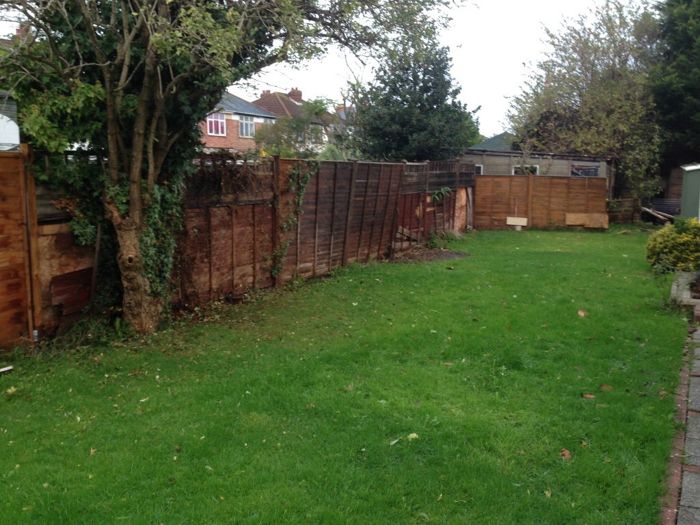 Before image 1